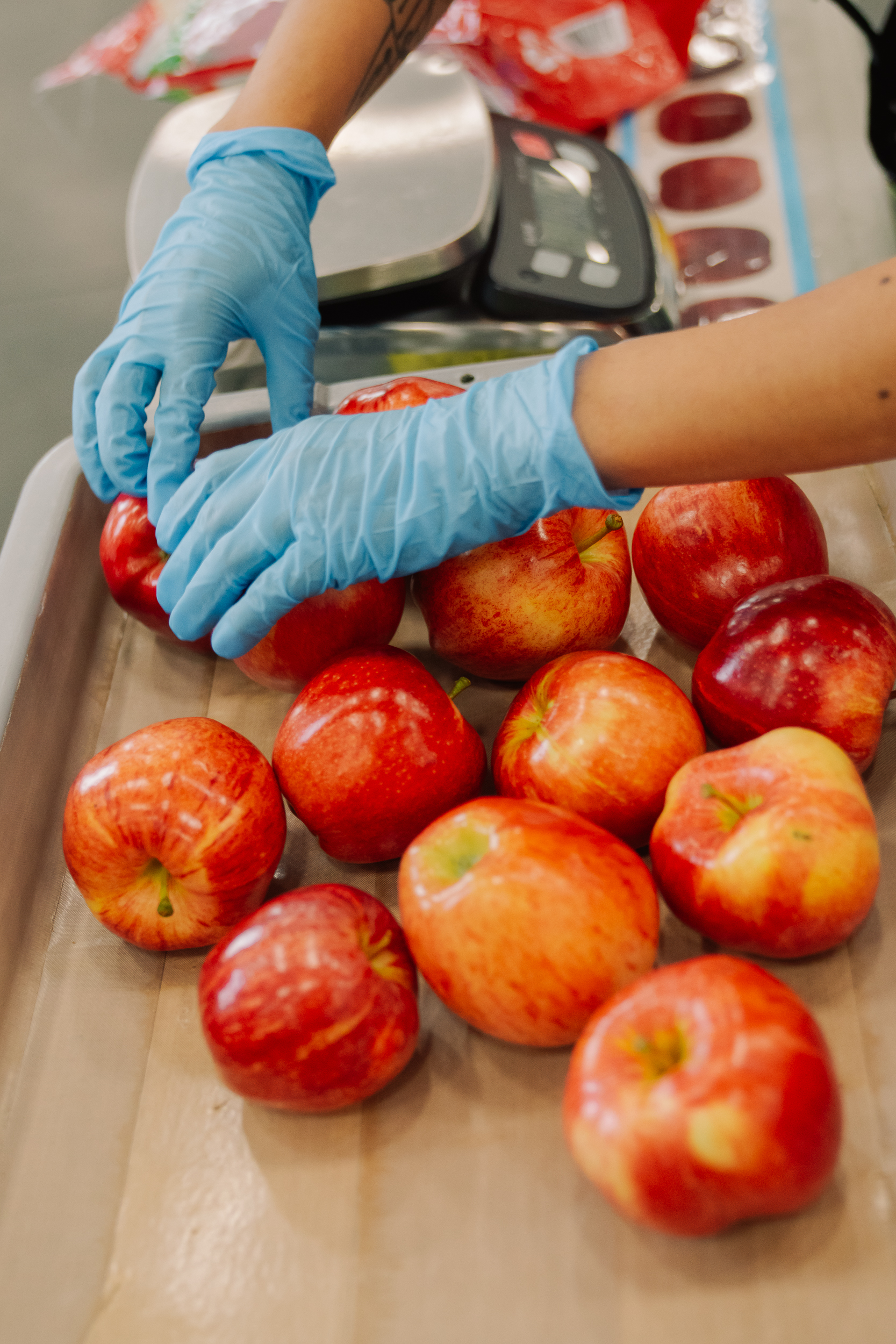 Packing house worker in gloves weighing apples on a scale